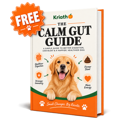 Calm Gut Guide