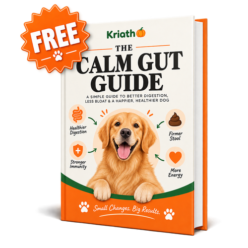 Calm Gut Guide