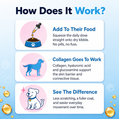Daily Liquid Collagen Drops