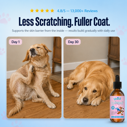Daily Liquid Collagen Drops