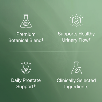 Prostate Support