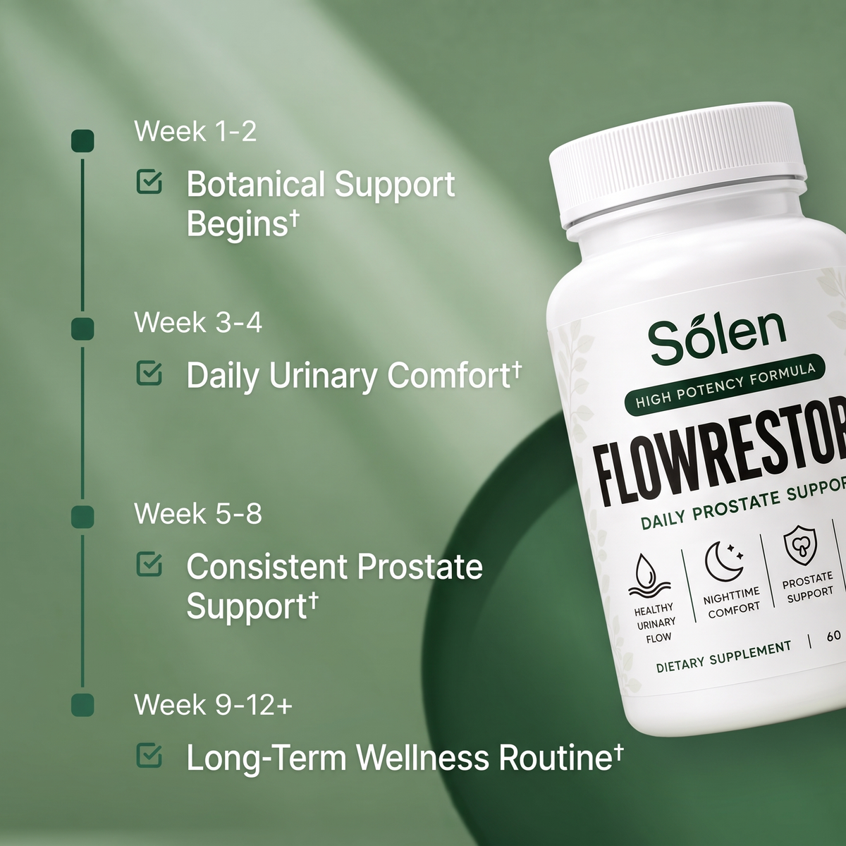 Prostate Support