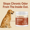OdorShield™ Gut Complex