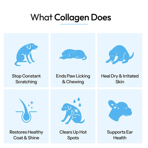 Premium Liquid Collagen