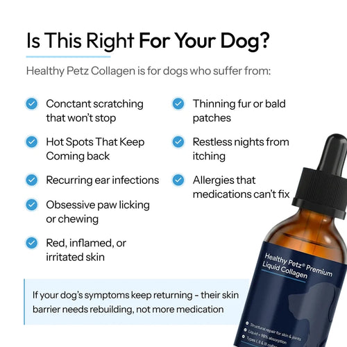 Premium Liquid Collagen