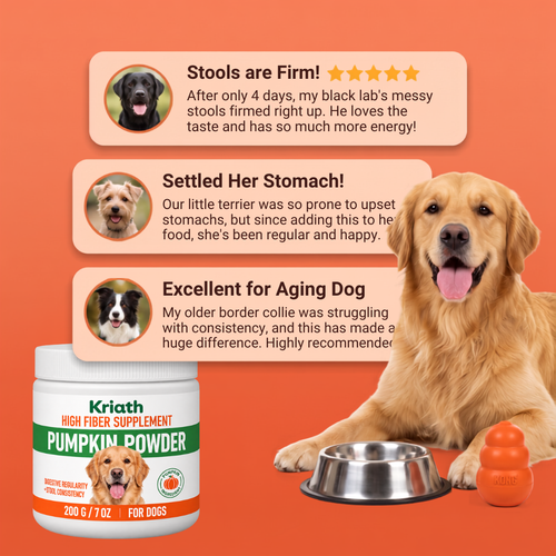 Kriath Pumpkin Powder