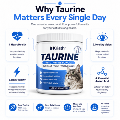 Kriath™ Daily Taurine