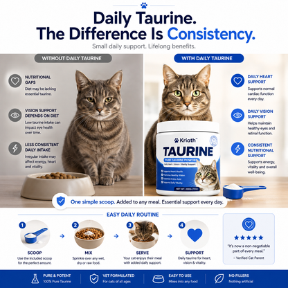Kriath™ Daily Taurine