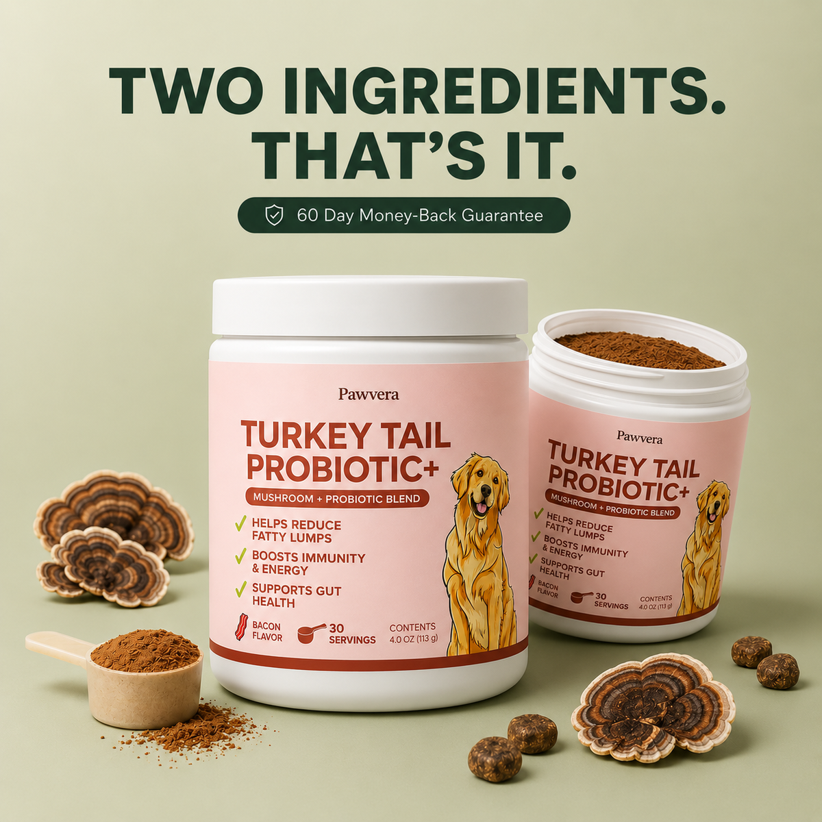 Turkey Tail Mushroom Powder