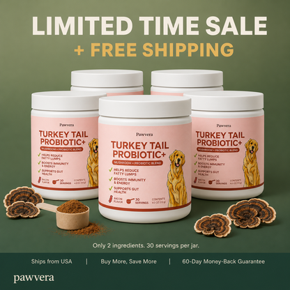 Turkey Tail Mushroom Powder