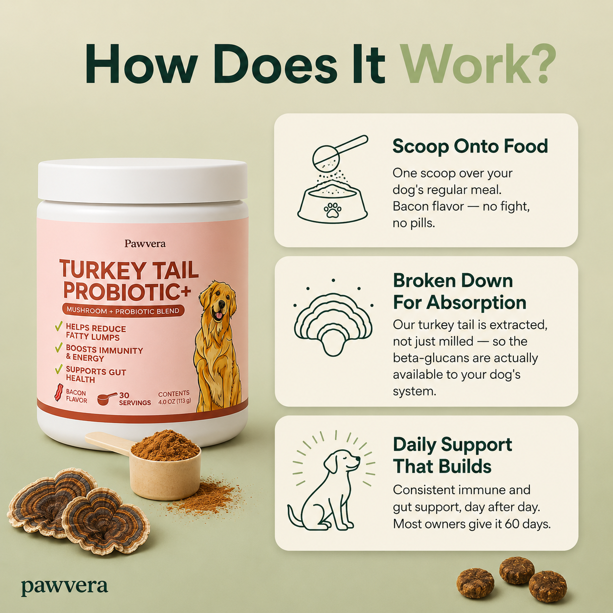 Turkey Tail Mushroom Powder